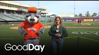 River Cats launch the “Festival of Baseball"
