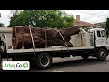 hazardous tree removal with crane arborco australia