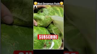 ரொம்பவே Rarest-ஆன சில Dangerous-ஆன Fruits-ah பற்றி பாக்கலாம்😲 | #infoman | #tamilshorts | #shorts |