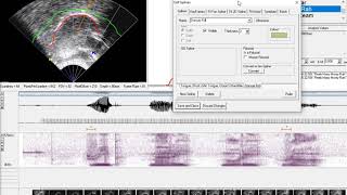AAA219 Adding Fiducial splines by batch processing