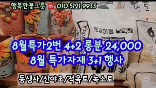 현아다육이 좋아하는 화분☆8월특가2번 사이즈좋은 해바라기장식롱분4+2/8월 특가자재 산야초 동생사3+1*유료광고포함*