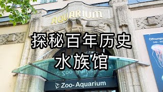 110年历史的水族馆里竟然有这？