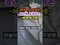 자식복이 대박나 말년에 최고로 호강하는 여자띠 3개 호명합니다 자식복 말년운 띠별운세