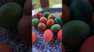 Gorgeous Dyed Brown Easter Eggs