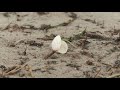 strandspaziergang an kalten tagen