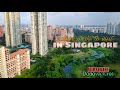 Singapore Nature Parks | 3 amazing parks for relaxation and exercise