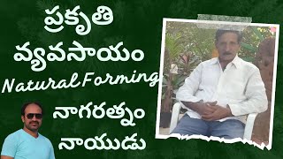 Nagaratnam Naidu Farm | Natural Farming - about his complete journey నాగరత్నం ప్రకృతి జీవన ప్రయాణం