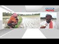 unseasonal rain devastates farmers peanut crops submerged worries over loan repayment grow