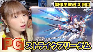 PGストライクフリーダム製作3回目！！イケメン顔に感動！腕・武器