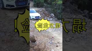 为了带狗狗露营，铲屎官卖房买车，散尽家财实现梦想！ #008