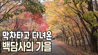 막차 타고 다녀온 백담사의 가을 | 설악산 | 백담사 | 인제 | 방동약수 | 필례약수 | 최영복 '비움' | 최작가(CHOI)의 시처럼 그림처럼! #설악산 #백담사 #방동약수