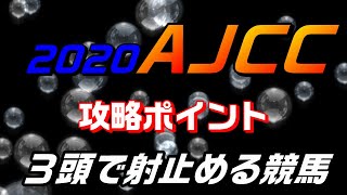 2020アメリカジョッキーC 攻略ポイント★3頭で射止める競馬