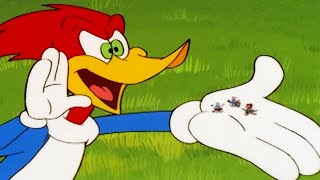 Woody Woodpecker Show | Party Animal |  Episode | Kids Cartoon | s For Kids
