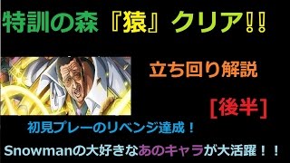 [トレクル]　 (＊音量通常です＊)　特訓の森『猿』クリア！！立ち回りについて！！【後半】