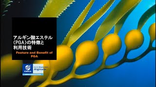 アルギン酸エステルの特徴と利用技術