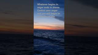 Whatever begins in anger ends in shame #motivation #emotions #selfcontrol