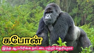 Gabon நாட்டை பற்றி தெரியுமா || Interesting Facts About African Country In Tamil