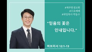 [수요 예배] 2024.11.27  "믿음의 꽃은 인내입니다”(히브리서 12:1-13)  박동수 목사