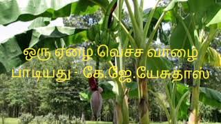 Oru Yezhai Vecha - ஒரு ஏழை வெச்ச வாழை