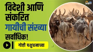 पशुधनाची प्रजातीनिहाय देशातील संख्या किती आहे? | breed wise 20th livestock census report | ॲग्रोवन