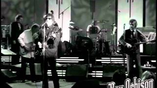 Roy Orbison - "(All I Can Do Is) Dream You" from Black and White Night