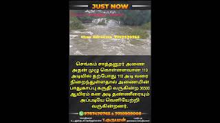 சாத்தனூர் அணை வருகின்ற 36500ஆயிரம் கன அடி தண்ணீரையும் அப்படியே வெளியேற்றி வருகின்றனர் #viral #mk