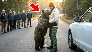 Man Saves Crying Bear in the Middle of the Road, You Won't Believe What Happens Next