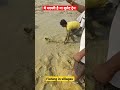 big fish catching 🦈। देखिए गांव में मछली कैसे पकड़ते हैं shorts youtubeshorts viral