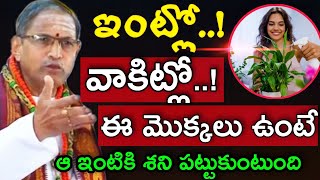 ఇంట్లో వాకిట్లో ఈ మొక్కలు ఉంటే  ఆఇంటికి శని పట్టుకుంటుంది by Chaganti Koteswara Rao Speeches Latest