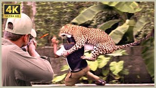 [ Special Video ] 50 Moments Animals Attack Humans That Will Leave You Speechless - American Hunters