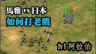 Cheap世紀帝國-1v1馬雅vs日本 如何打老鷹