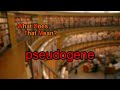 What does pseudogene mean?