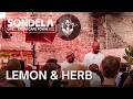 LEMON & HERB | Sondela LIVE from Cape Town 19.12.2025 | Afro-House/Afro-Tech Mix