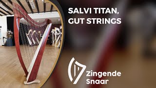 Salvi Titan, gut strings