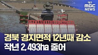 경북 경지면적 12년째 감소, 작년 2,493ha 줄어 | 대구MBC뉴스