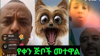 🔴የቀን ጅቦች መተዋል ከእነዚህ ዓይነት ጅቦች ራሳችሁን ጠብቁ🤕🙏