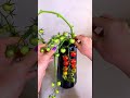 carnations and mini tomatoes flowerarrangment