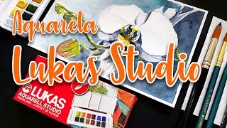 AQUARELA LUKAS STUDIO - REVIEW