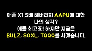 애플 X1.5배 레버리지 AAPU에 대한 나의 생각? 좋지만 지금은 BULZ, SOXL, TQQQ를 사겠습니다.