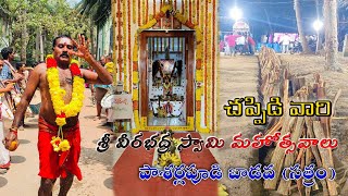 చప్పిడి వారి శ్రీ వీరభధ్ర స్వామి మహోత్సవాలు 2024 |#Pasarlapudi_badava #konaseema #amalapuram #god