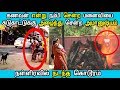 Download கணவன் என்று நம்பி சென்ற மனைவியை சுடுகாட்டுக்கு அழைத்து சென்ற அமானுஷ்யம் நள்ளிரவில் நடந்த கொடூரம் In Mp4 3Gp Full HD Video