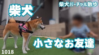 【柴犬 小さなお友達】週刊柴犬むーちゃんねる #113