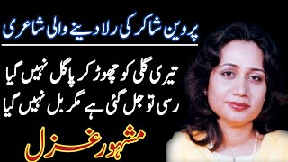 heart touching sad short video💔 💔/sad poetry/sad ghazal/poetry by parveen shakir/Zoobi writes