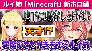 【Minecraft】２人でスバルの家にイタズラ＆奏に悪い事を教えるルイ姉【鷹嶺ルイ/音乃瀬奏/ホロライブ/切り抜き】