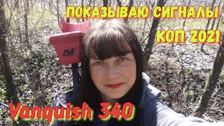 MINELAB VANQUISH 340 Что таят НИЗКИЕ СИГНАЛЫ?! Коп 2021 в веселой компании