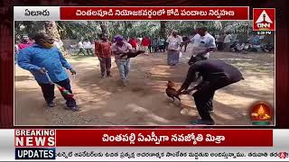 ఏలూరు జిల్లా లో  మొదలైన కోడి పందాలు..! | Kodi Pandalu | Sankranti Festival 2024 | Eluru | ANN Telugu