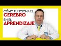 Cómo funciona el cerebro en el aprendizaje | Curso de Hipnosis Clínica - 003