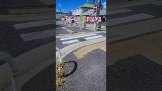 日本一短い横断歩道 🌠大阪府和泉市肥子町1-7 #横断歩道 #和泉市 #珍スポット