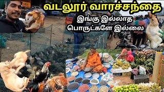 Tamilnadu's Biggest pet Animal market |வடலூர் வாரச்சந்தை | Vadalur Weekly Pet Market