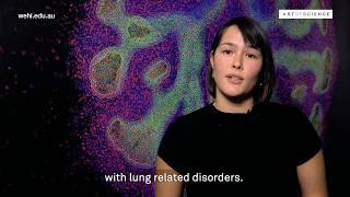 Art of Science behind the scenes | Breathtaking Treasures by Casey Ah-Cann and Verena Wimmer
